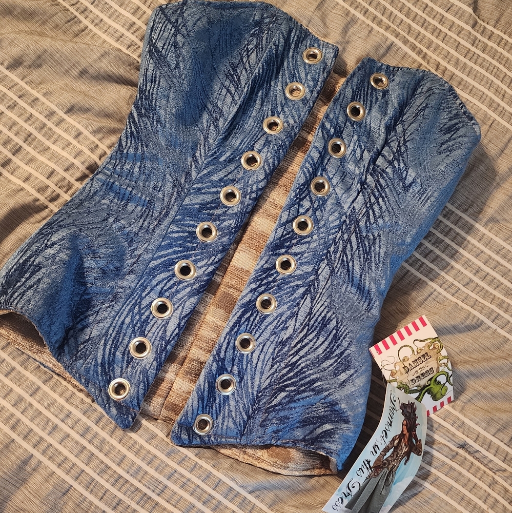 Damsel in this Dress Corset